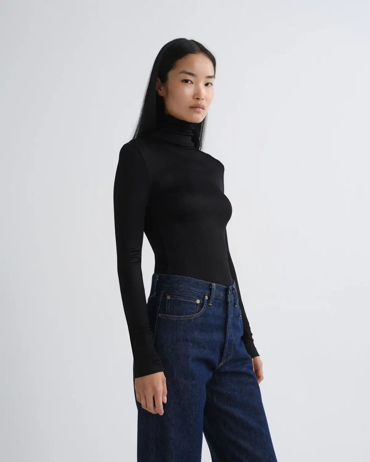 Caryle Turtleneck in Black