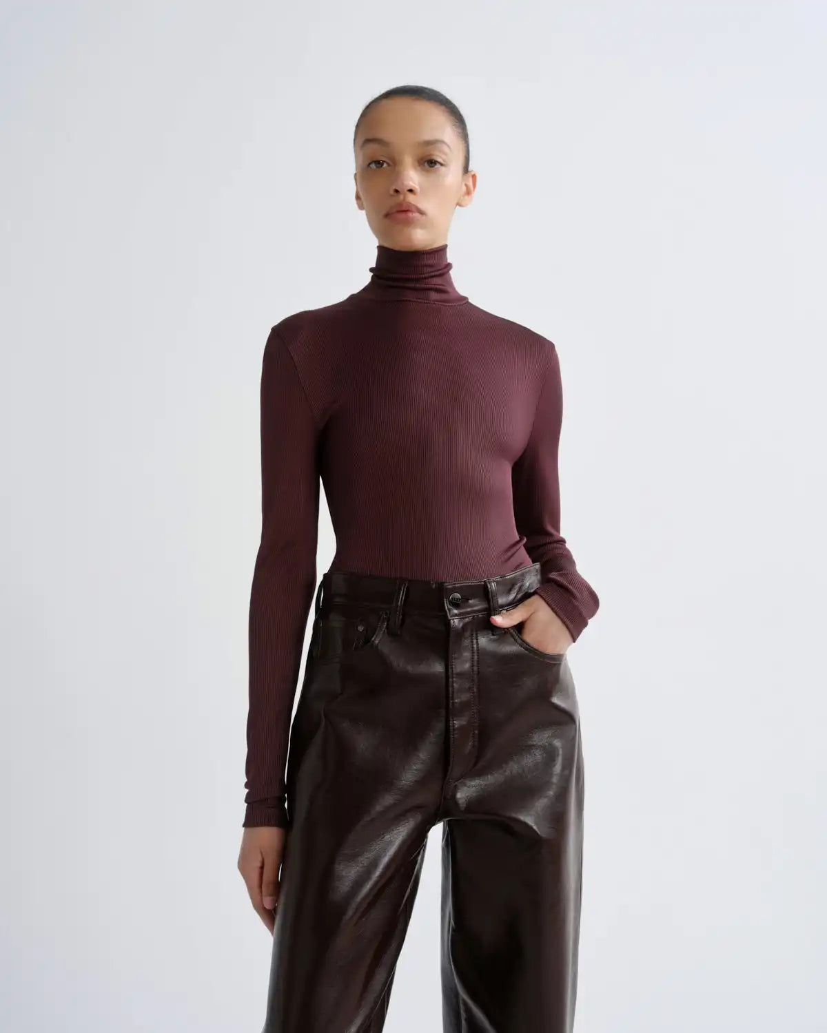 Caryle Turtleneck in Corinth